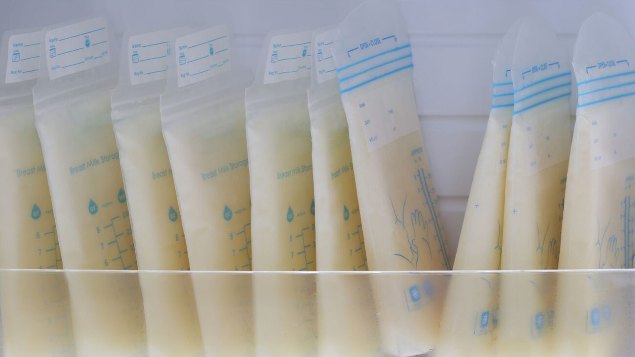 Borsa termica per la conservazione del latte materno