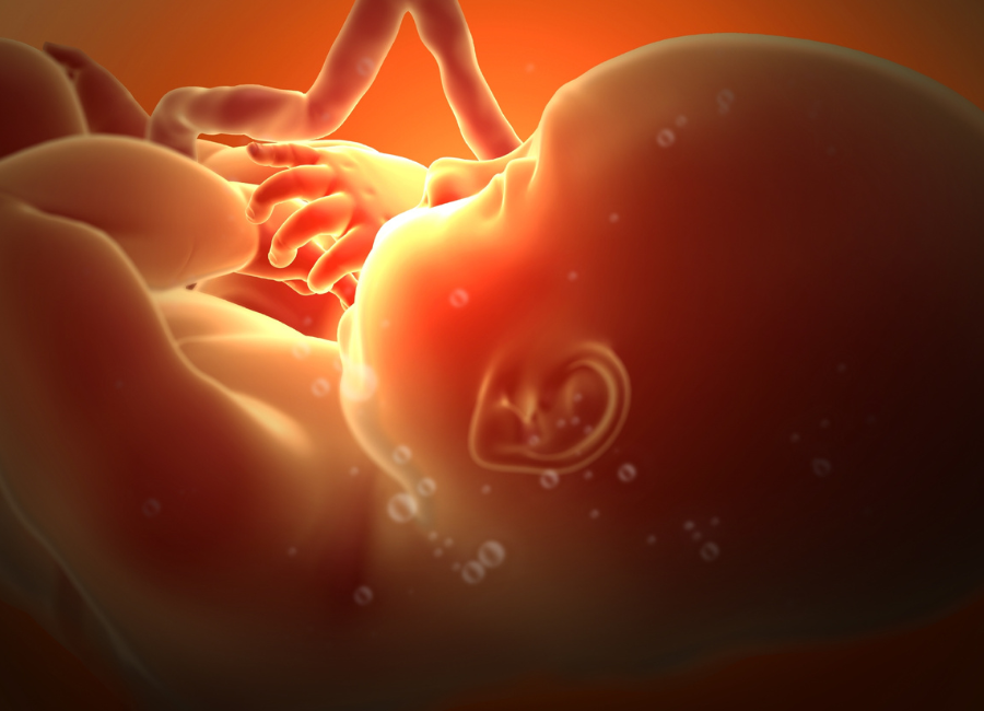 Attaccamento materno: istinto o biologia?